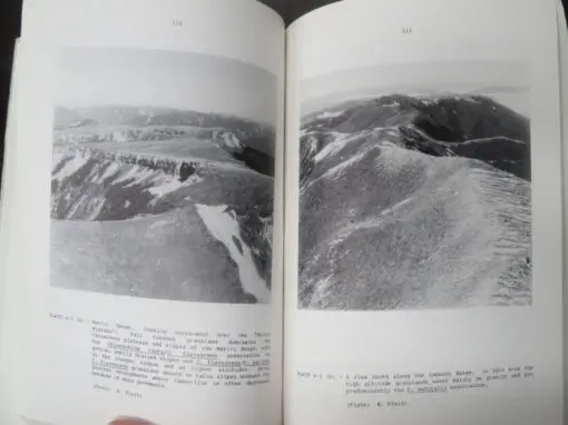 Orwin, Report on a survey of the proposed Wapiti area, West Nelson, 1985 - Image 4