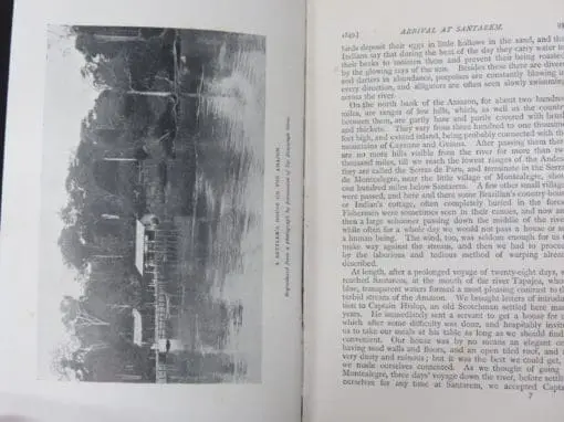 Alfred Russel Wallace, Travels on the Amazon and Rio Negro - Image 9