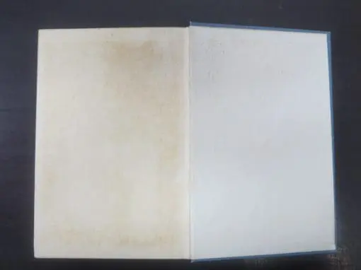 B. M. Bower, Laughing Water - Image 3