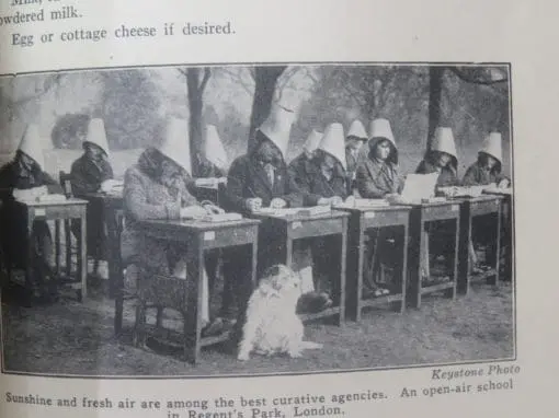 Belle Wood-Comstock, Three Times A Day - Image 3