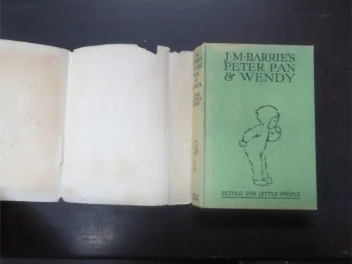 May Byron, J. M. Barrie's Peter Pan And Wendy, Illustrated by Mabel Lucie Attwell - Image 14