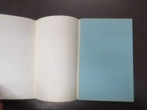 William Wantling, San Quentin's Stranger (hardback) - Image 7