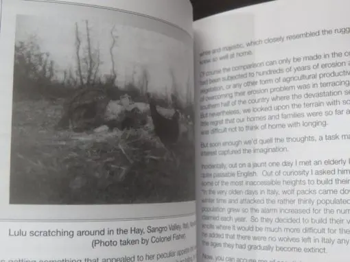 Mark Batistich, The Story of LuLu - Image 3