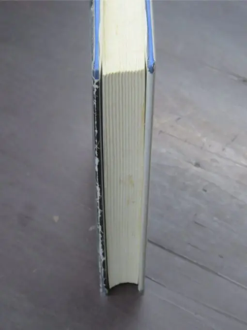 H. A. Glasson, The Golden Cobweb : A Saga of the Otago Goldfields - Image 14