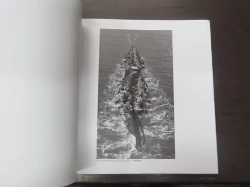 Waiataata - Image 7