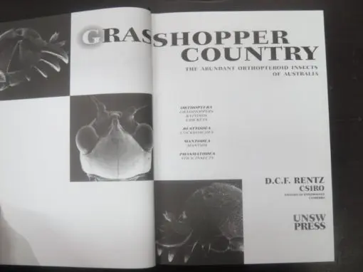 David Rentz, Grasshopper Country : The abundant orthopteroid insects of Australia - Image 12