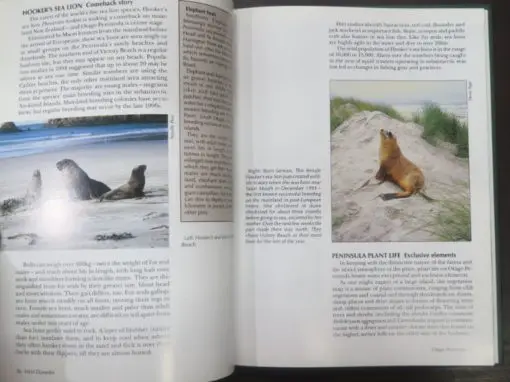 Neville Peat, Brian Patrick, Wild Dunedin, Enjoying the Natural History of New Zealand's Wildlife Capital - Image 6