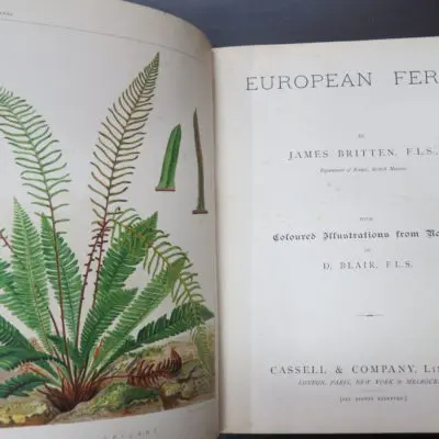James Britten, European Ferns, Coloured Illustrations from Nature by D. Blair, Cassell and Company, London, Natural History, Science, Antiquarian, Dead Souls Bookshop, Dunedin Book Shop
