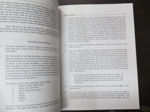 William Doss McDavid, An Introduction To Esoteric Principles, A Study Course - Image 3