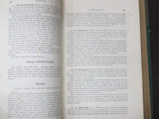 Captain Thomas Broun, Manual Of The New Zealand Coleoptera - Image 6
