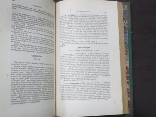 Captain Thomas Broun, Manual Of The New Zealand Coleoptera - Image 4