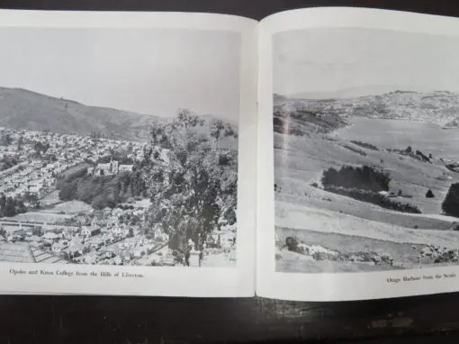 City Of Dunedin, N.S. Seaward, New Zealand Scenic Photographer - Image 3