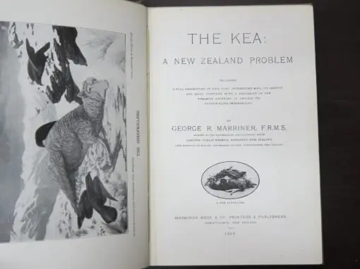 G. R. Marriner, The Kea, A New Zealand Problem, Including A Full Description Of This Very Interesting Bird, Its Habitat And Ways, Together With A Discussion Of The Theories Advanced To Explain Its Sheep-Killing Propensities - Image 6