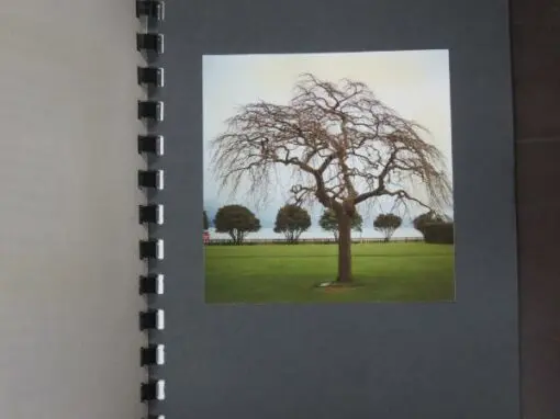 Adrian Harrison, Per Verse - Image 5