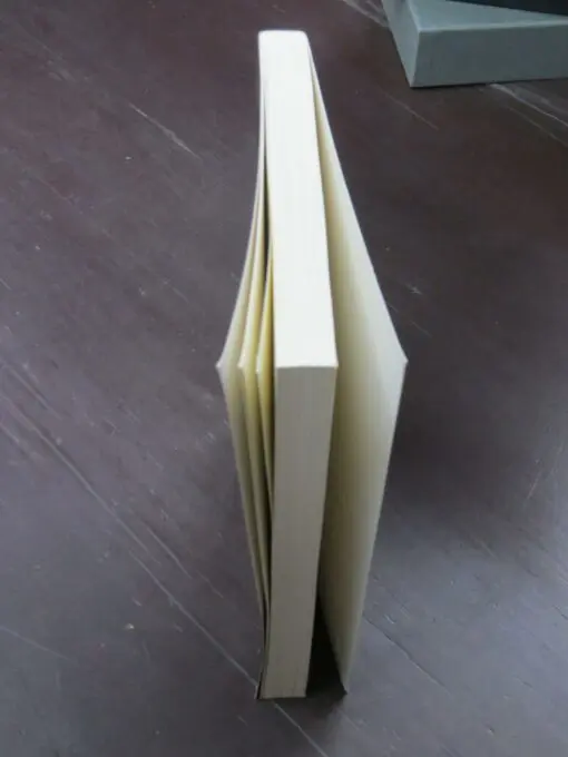 Sean Kelly, Individuation And The Absolute, Hegel, Jung and the Path Toward Wholeness - Image 11