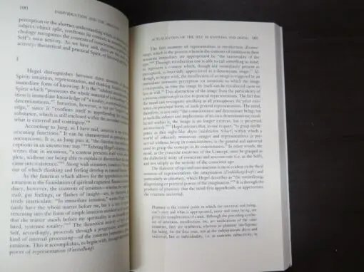 Sean Kelly, Individuation And The Absolute, Hegel, Jung and the Path Toward Wholeness - Image 5