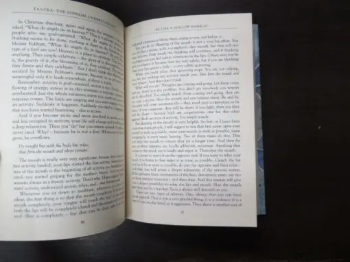 Osho, Tantra, The Supreme Understanding, Discourses On the Tantric Way Of Tilopa's Song Of Mahamudra - Image 5
