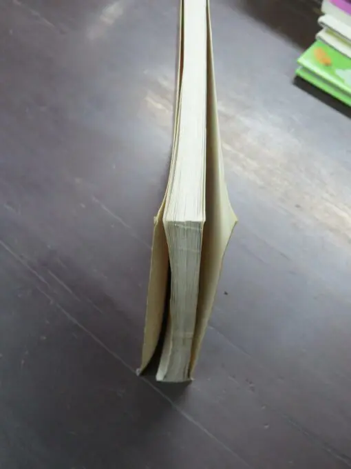 Raymond Buckland, Kathleen Binger, The Book of African Divination, with Techniques from the Venda, Zulu and Yoruba (book only, NO cards, etc) - Image 9