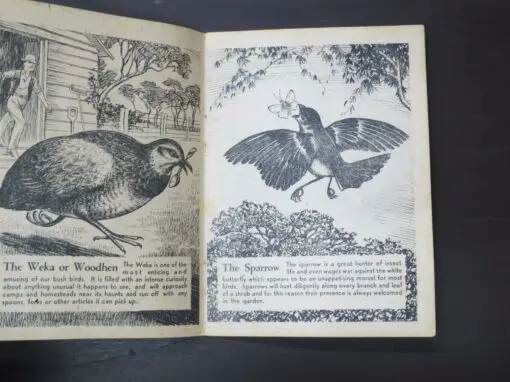 Dick Venture, Birdland Frolics, Dick Venture's Bird Books - Image 3