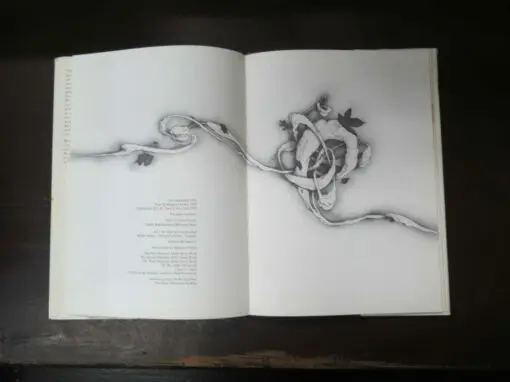 Margaret Mahy, The Wind Between the Stars, Pictures by Brian Froud - Image 8