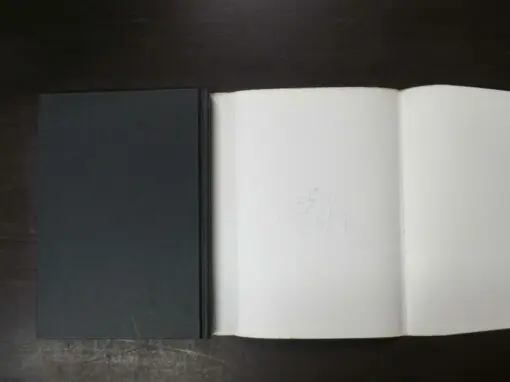Nahum Stiskin, The Looking-Glass God, Shinto, Yin-Yang, and a Cosmology for Today, with illustrations by Maurice Owen - Image 3