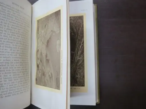 H. Guthrie-Smith, Mutton Birds And Other Birds - Image 4