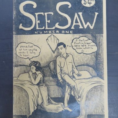 Seesaw one photo 1