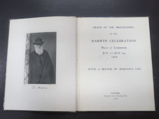 Darwin, Celebration, photo 1