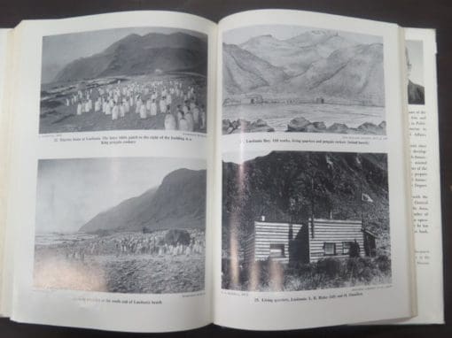 J. S. Cumpston, Macquire Island - Image 3