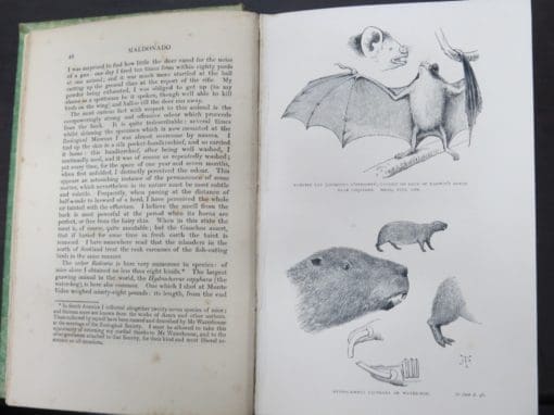 Charles Darwin, Naturalist's Voyage Round the World,  1901 - Image 8