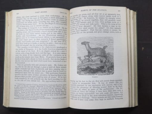 Charles Darwin, A Journal of Researches, 1910 - Image 7