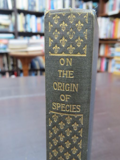 Charles Darwin, Origin Of Species, photo 4