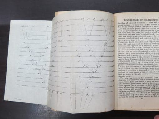 Charles Darwin, On The Origins of Species, 1906 - Image 4