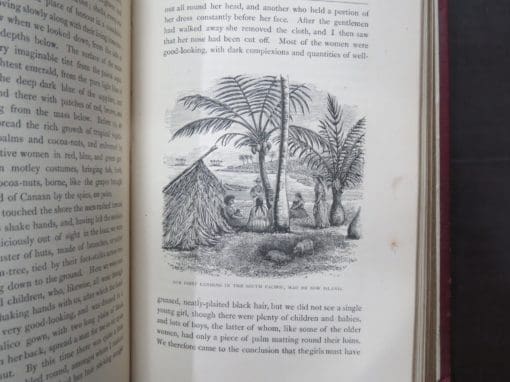 Mrs Brassey, A Voyage in the 'Sunbeam', Our Home on the Ocean for Eleven Months, 1879 - Image 15
