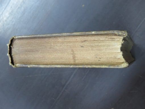The Home Cook Book, 1891 - Image 3