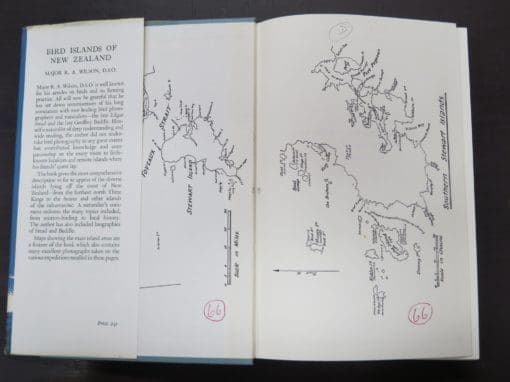 Robert Wilson, Bird Islands of New Zealand - Image 17