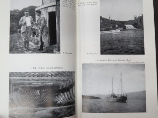 Robert Wilson, Bird Islands of New Zealand - Image 10