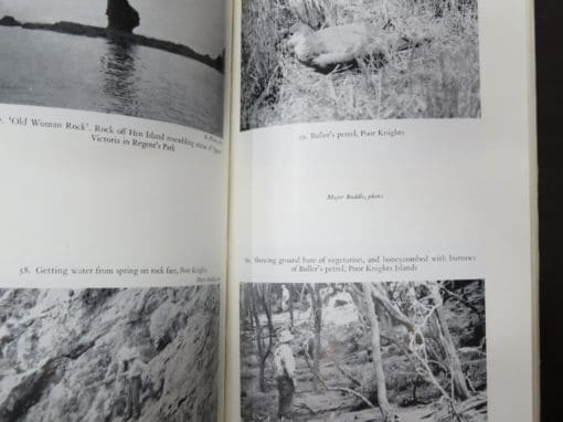 Robert Wilson, Bird Islands of New Zealand - Image 9