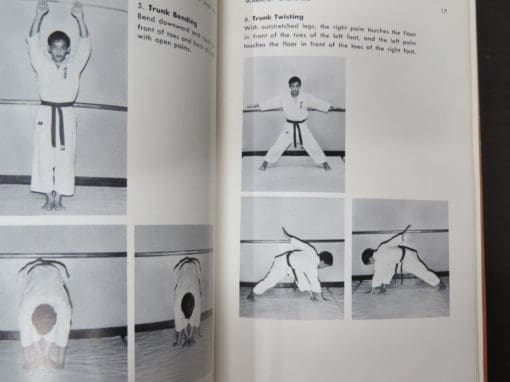 Bobby Lowe, Mas Oyama's Karate as Practiced in Japan - Image 7