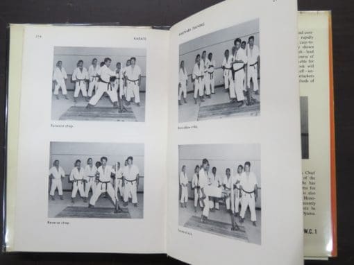 Bobby Lowe, Mas Oyama's Karate as Practiced in Japan - Image 5