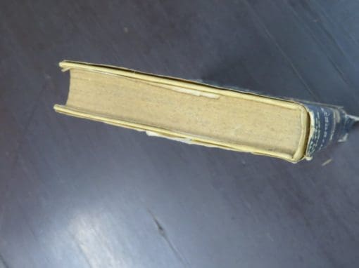 Anthony Gilbert, Snake In The Grass - Image 10