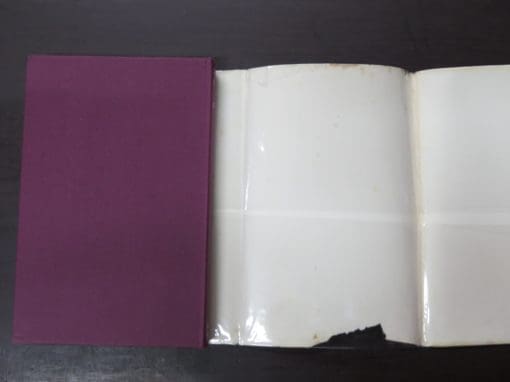 Berkeley Gray, Conquest Overboard - Image 3