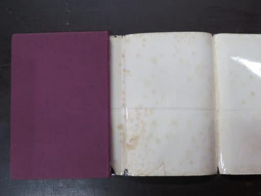 Berkeley Gray, Conquest Goes West - Image 3