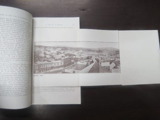 City of Dunedin, Jubilee of the Civil Government 1865 - 1915 - Image 5