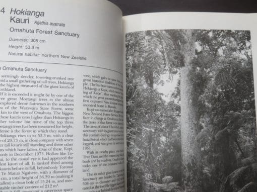 S. W. Burstall, E. V. Sale, Great Trees of New Zealand - Image 10