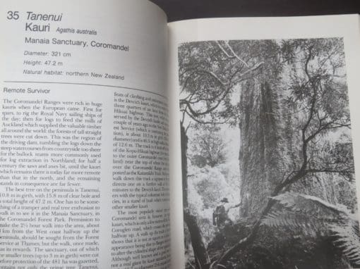 S. W. Burstall, E. V. Sale, Great Trees of New Zealand - Image 9