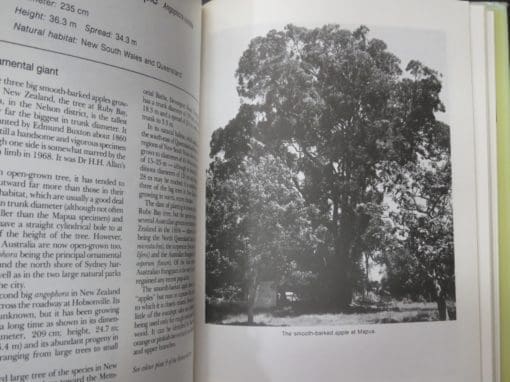 S. W. Burstall, E. V. Sale, Great Trees of New Zealand - Image 8