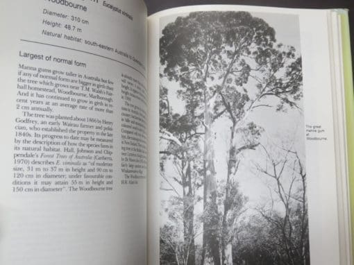 S. W. Burstall, E. V. Sale, Great Trees of New Zealand - Image 7