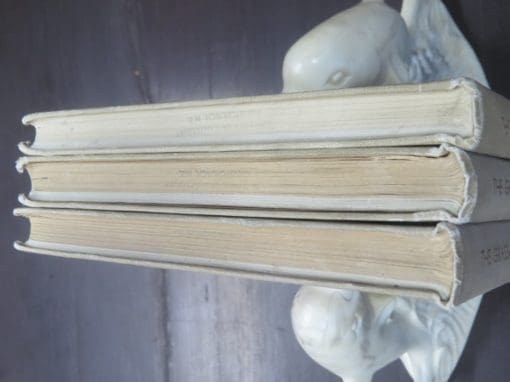 James A. G. Rehn, The Grasshoppers And Locusts (Acrudoidea) of Australia 3 Volumes - Image 23