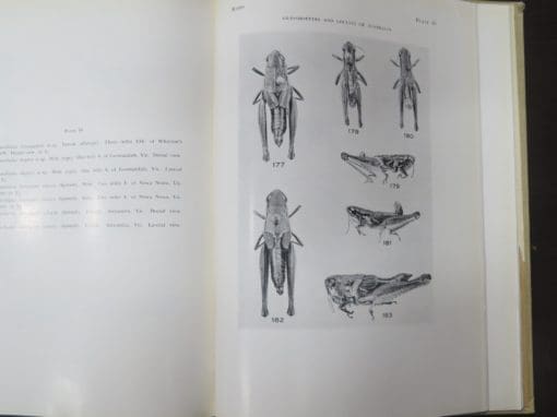 James A. G. Rehn, The Grasshoppers And Locusts (Acrudoidea) of Australia 3 Volumes - Image 5
